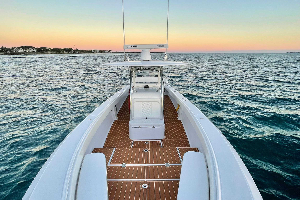 Product Exuma Cays Island Hopping and Animal Interaction (Nassau)