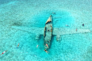 Product Exuma Cays Island Hopping and Animal Interaction (Nassau)