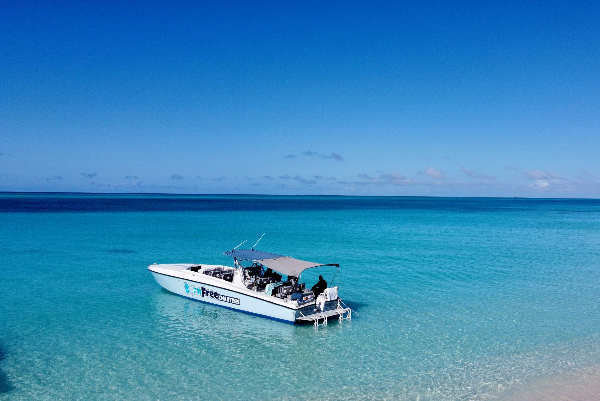 Product Eleuthera Pink Sands Experience and Swimming Pigs (Nassau)