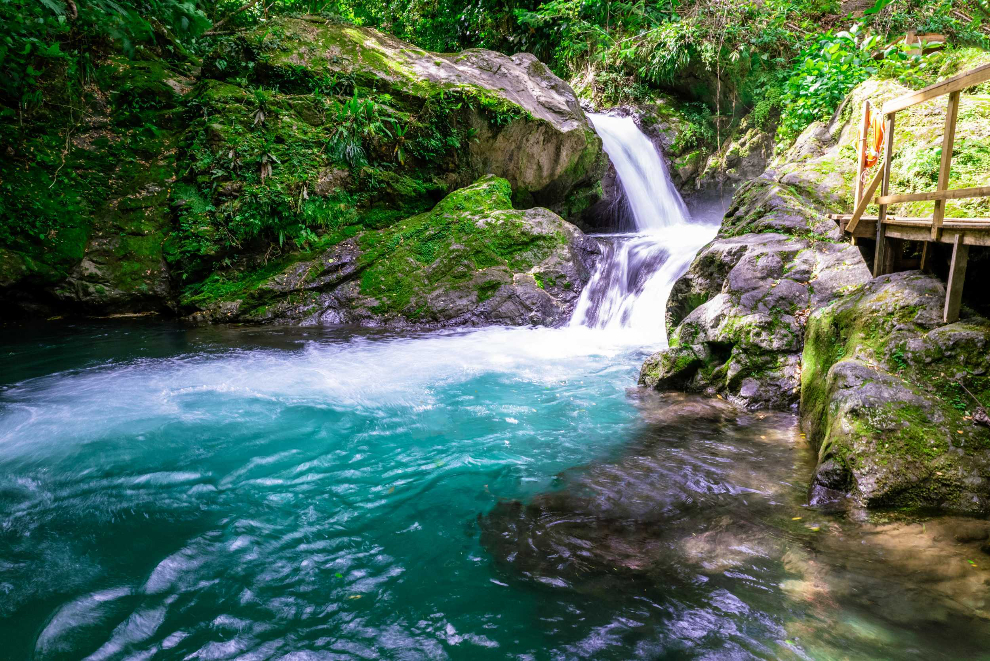 Product Bicycle Adventure in the Blue Mountains - Montego Bay
