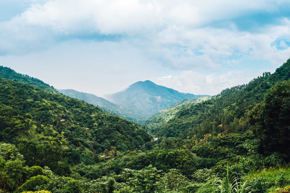 Product Bicycle Adventure in the Blue Mountains - Montego Bay