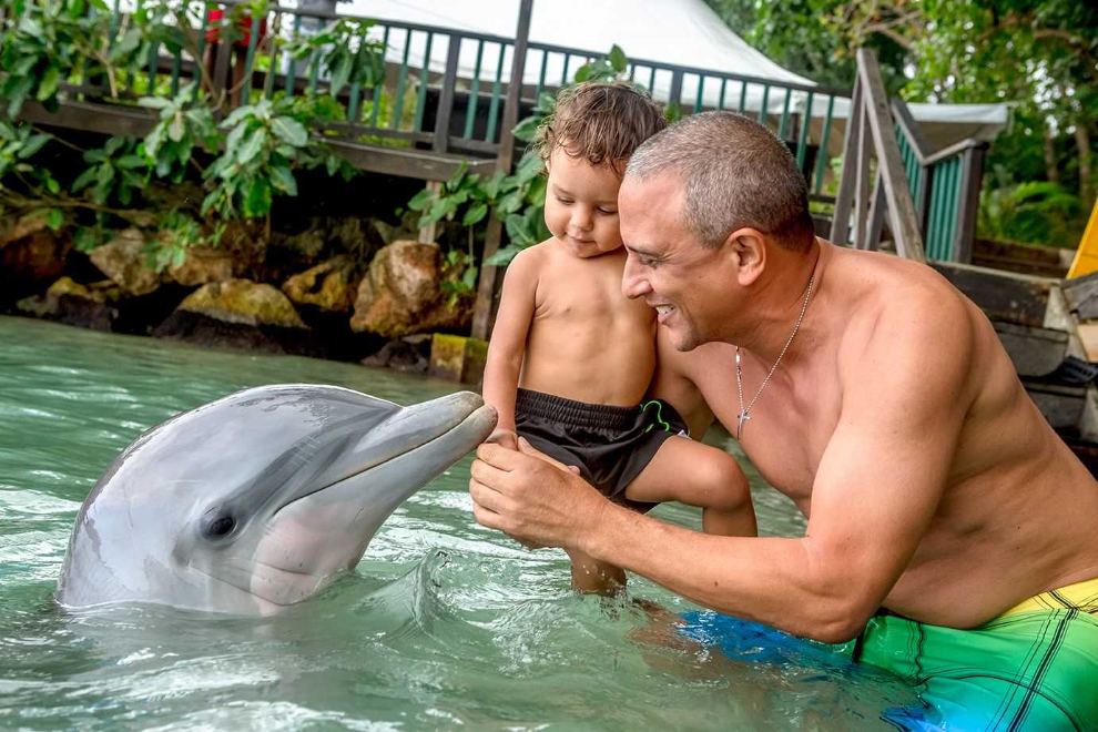 Dolphin Encounter - Montego Bay