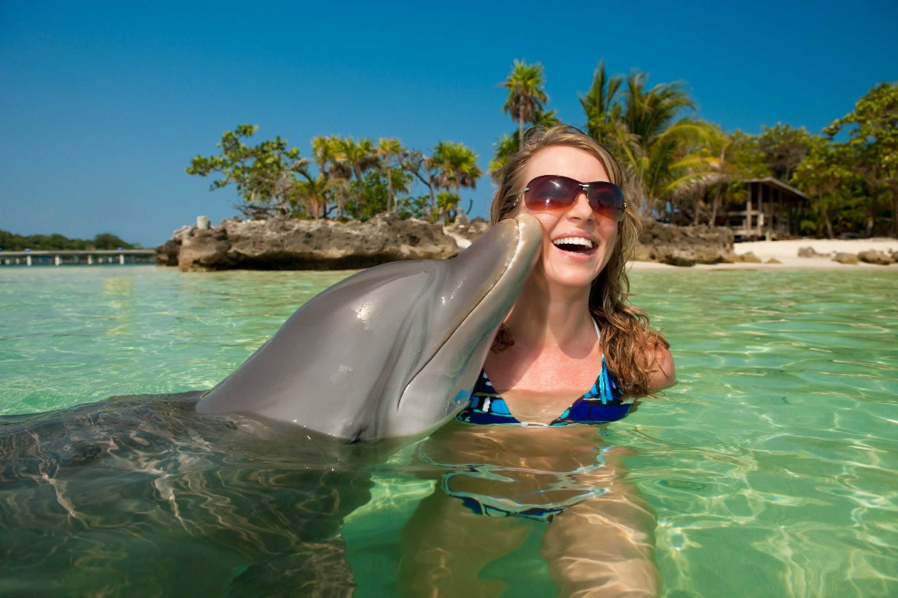 Product Dolphin Encounter - Ochio Rios