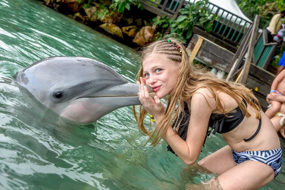 Product Dolphin Encounter from Negril