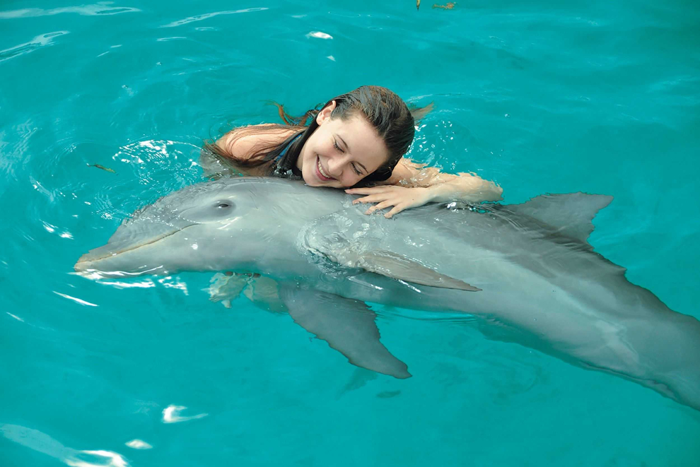 Product Dolphin Swim - Montego Bay