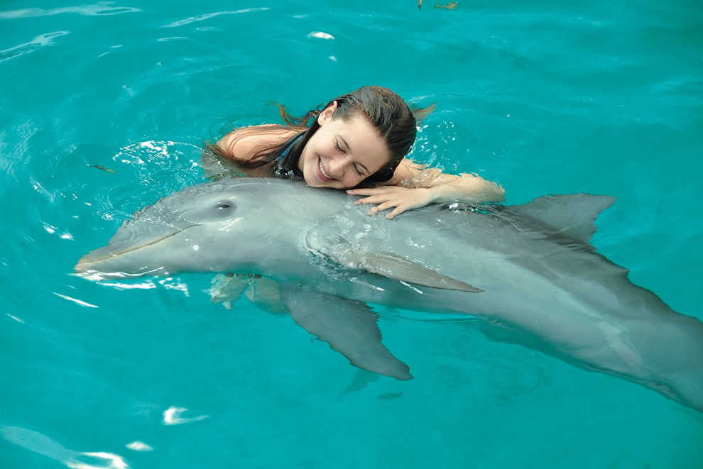 Product Dolphin Swim - Ocho Rios
