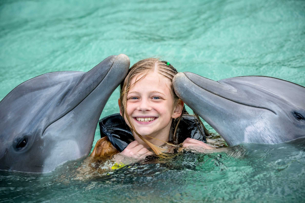 Product Dolphin Swim - Negril