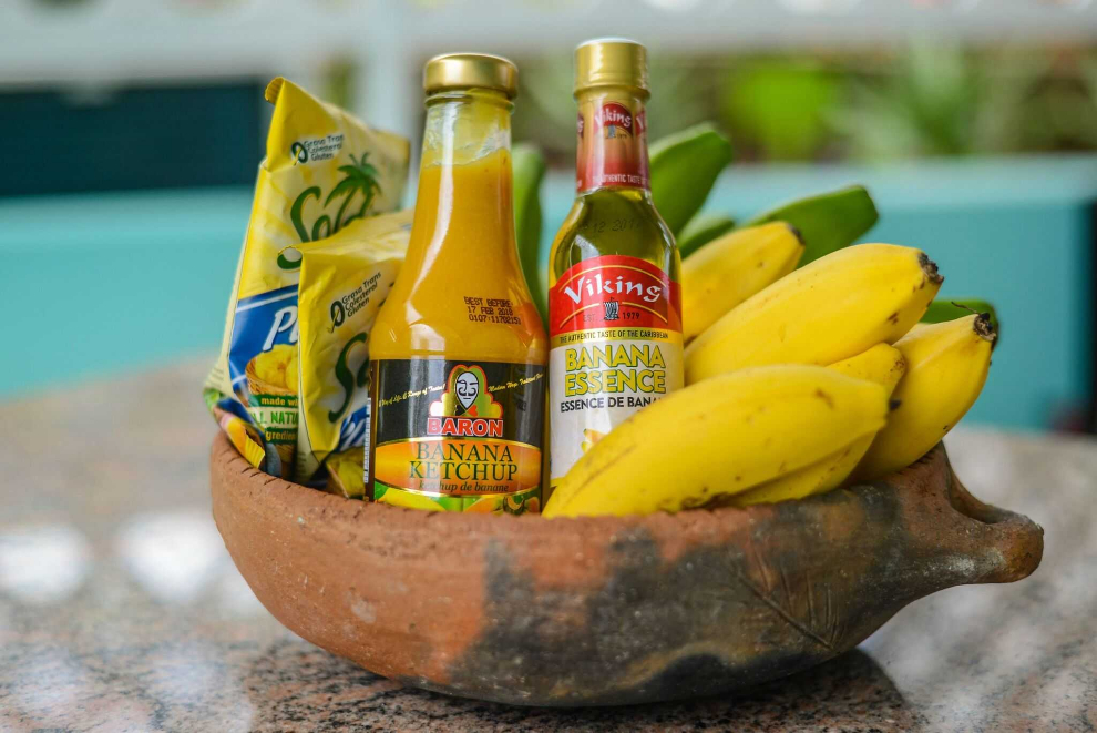 Product Essence of St. Lucia Historical Sightseeing Tour