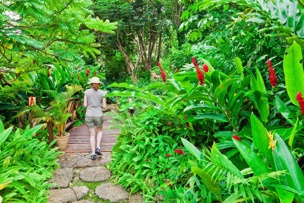 Product Grenada Tropical Garden Experience (Grenada)