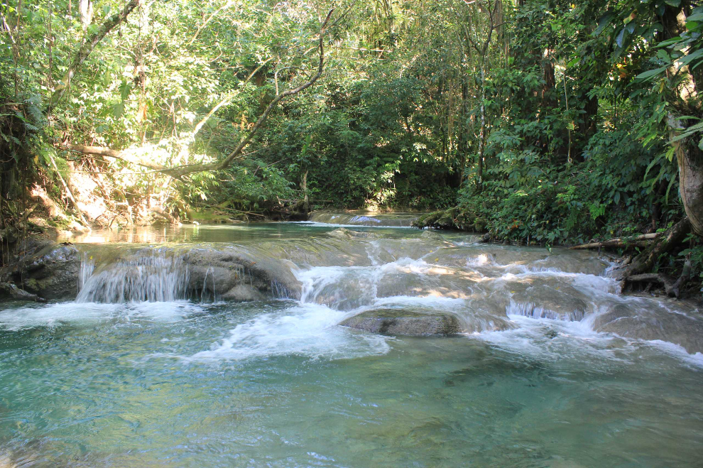 Mayfield Falls River Walk - Negril image 3