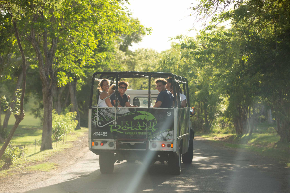 Rainforest Hike and Waterfall Safari (St. Lucia)