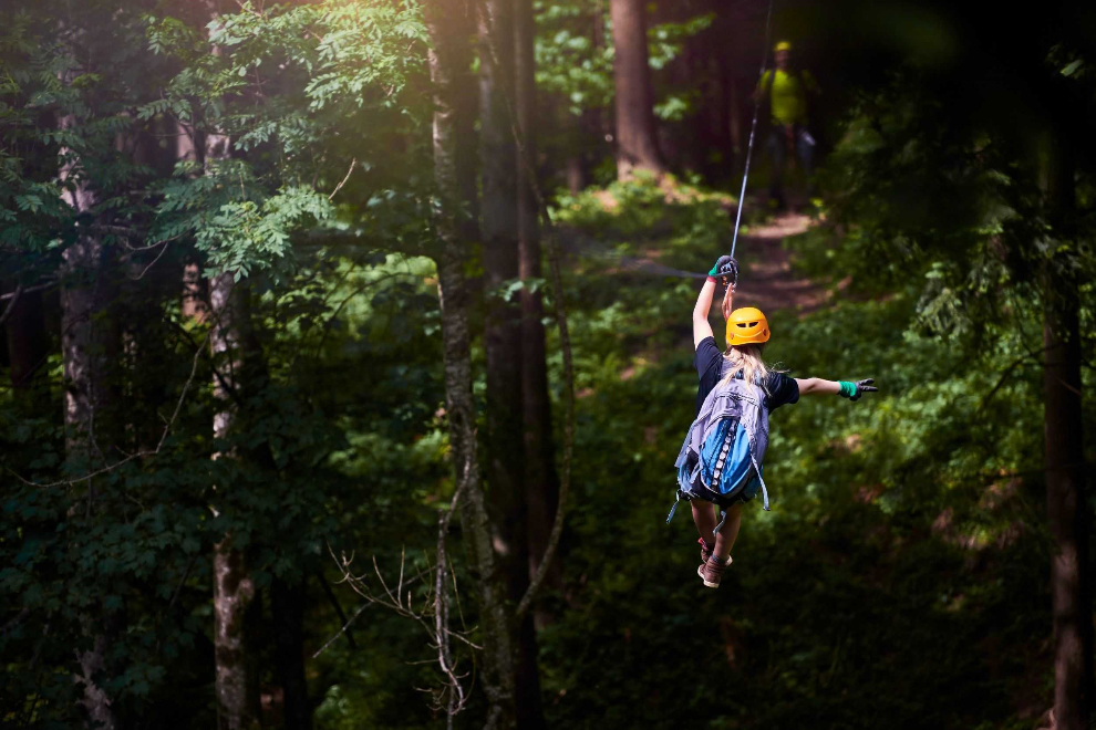 Treetop Zipline Experience - Ocho Rios 