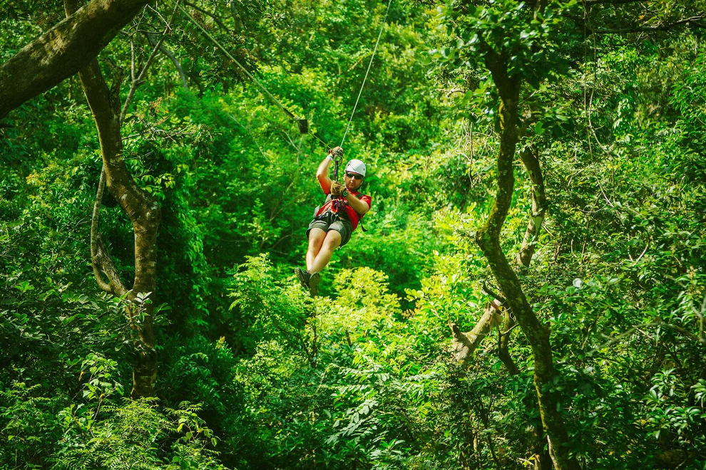 Product Zipline Canopy