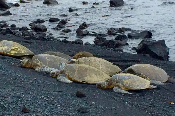 Product KapohoKine Adventures - Ultimate Circle Island (Kohala)