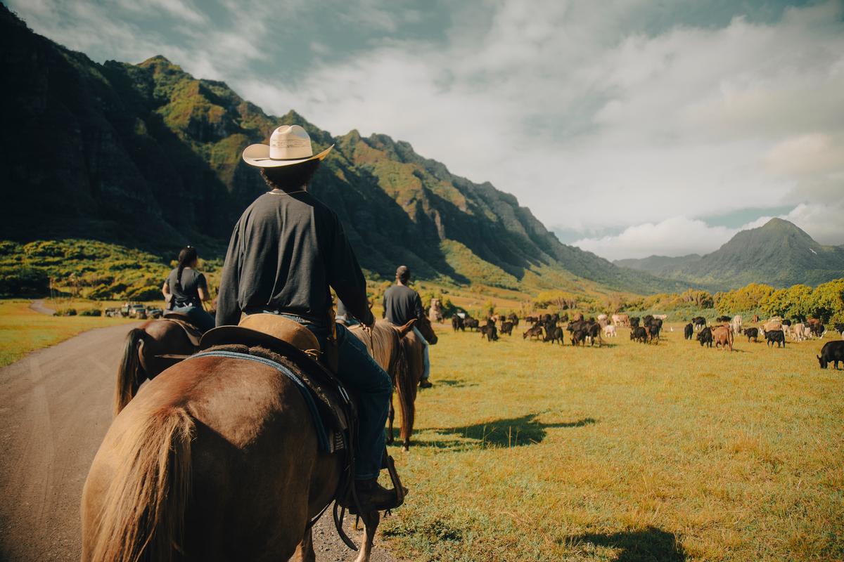 Kualoa Ranch Horseback Ride