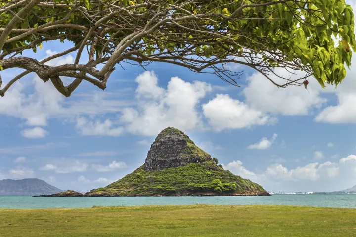 Oahu in a Day: Figure 8 Adventure image 2