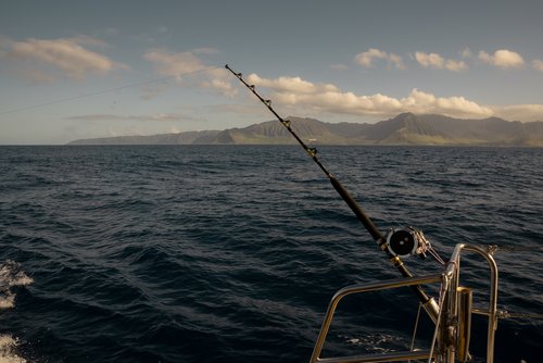 Product 5 Hour Day Charter