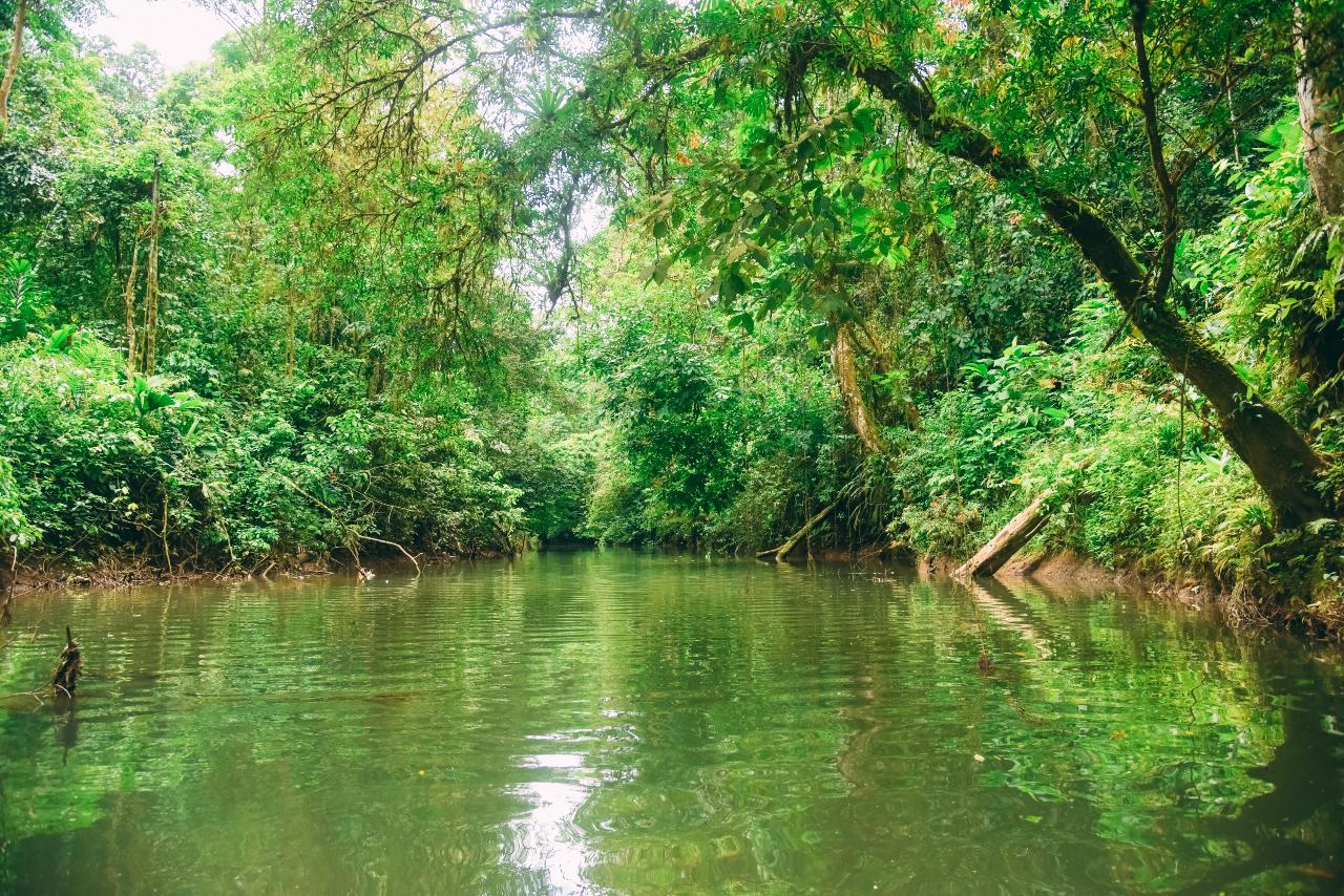 Product Jungle Safari Floating at Sarapiqui River (Arenal)