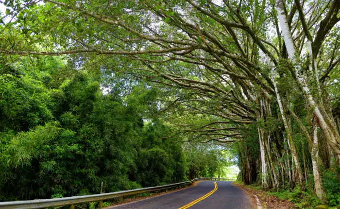 Product Haleakala Sunset Tour