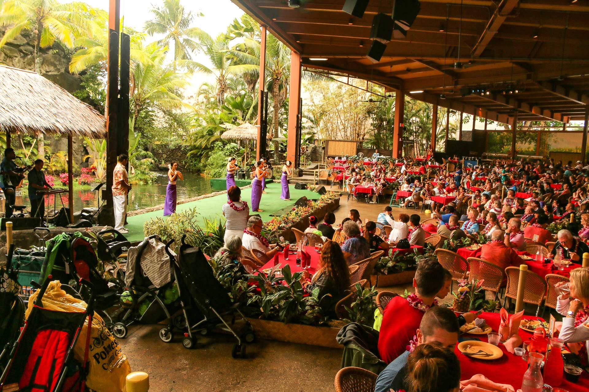 Product Islands of Polynesia (General Admission)