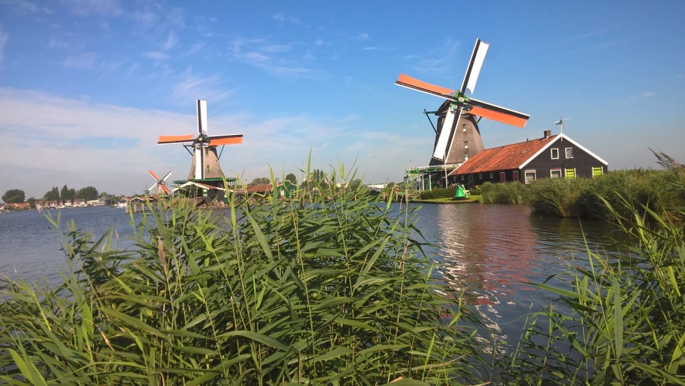 Small Group Zaanse Schans Half Day Tour from Amsterdam PRD46941 image 2