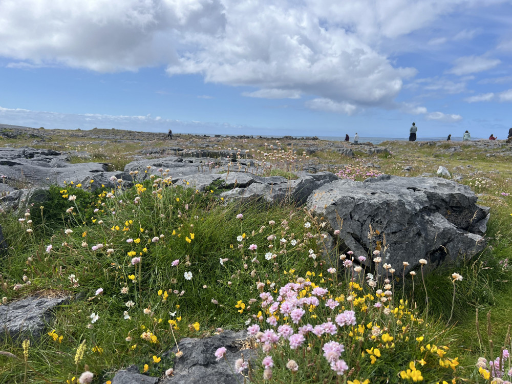 From Dublin: Cliffs of Moher, Doolin, Burren, and Galway Day Trip PRD35881 image 3