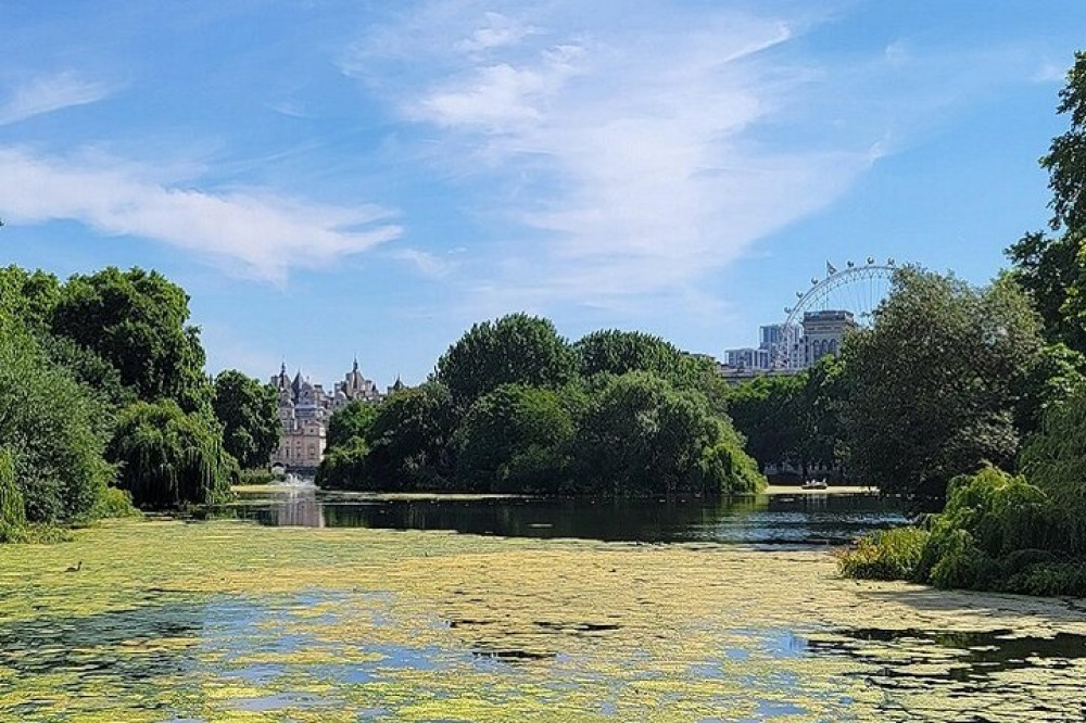 Product London: Royal Walking Tour and Buckingham Palace Audio Tour PRD86773