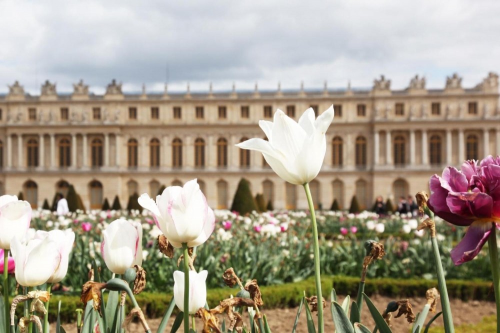 Skip the Line: Versailles Palace &amp; Gardens from Paris PRD54699 image 3