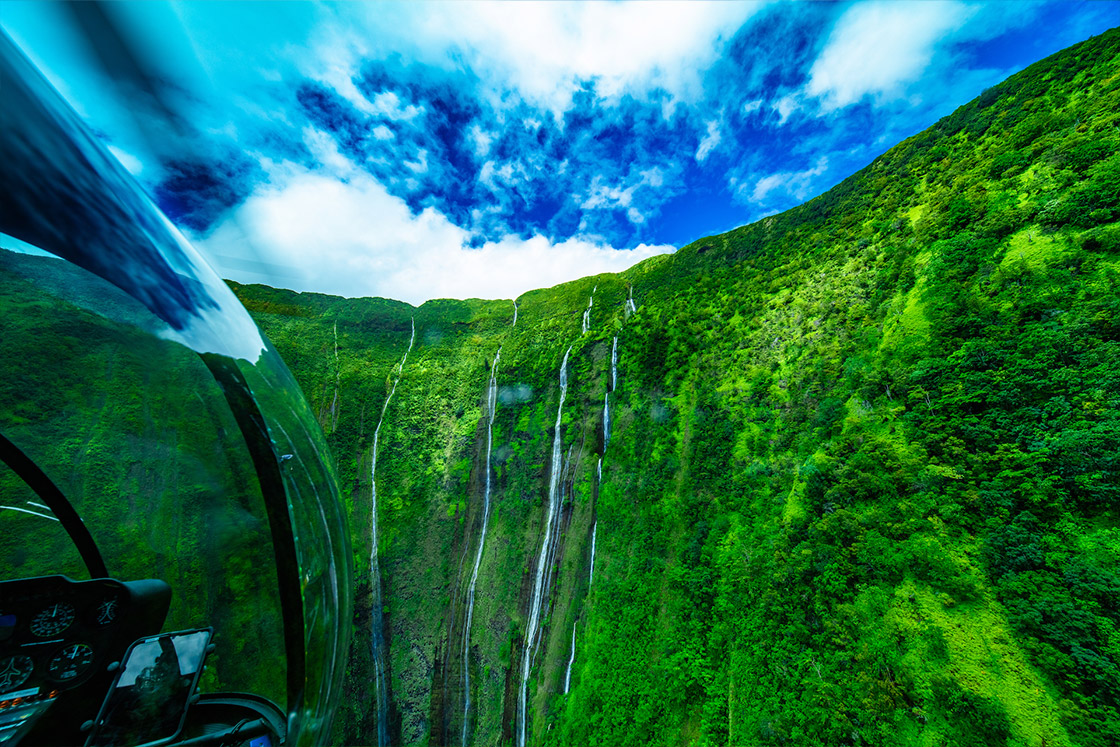 Make It Private: Kohala Coast Volcano Waterfalls - 90 Min image 3