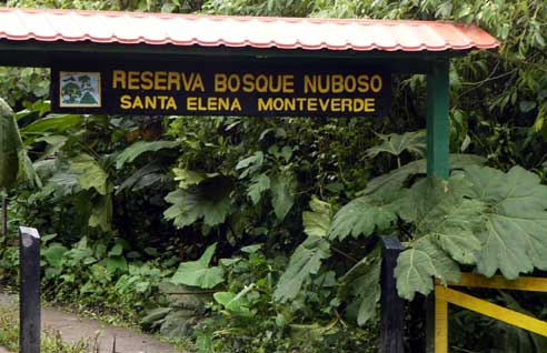 Product Santa Elena Reserve (Monteverde)