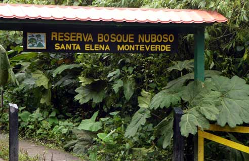 Product Santa Elena Reserve (Monteverde)