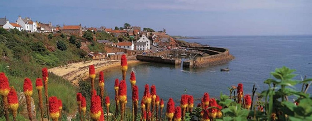 St Andrews &amp; The Fishing Villages of Fife From Edinburgh PRD45040 image 2