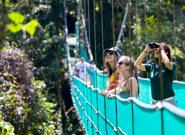 Product Hanging Bridges/ Volcano Hike/ Waterfall/ Hot Springs (Arenal)