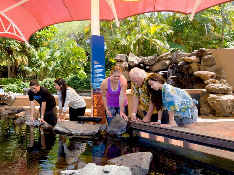 Product Sea Life Park General Admission