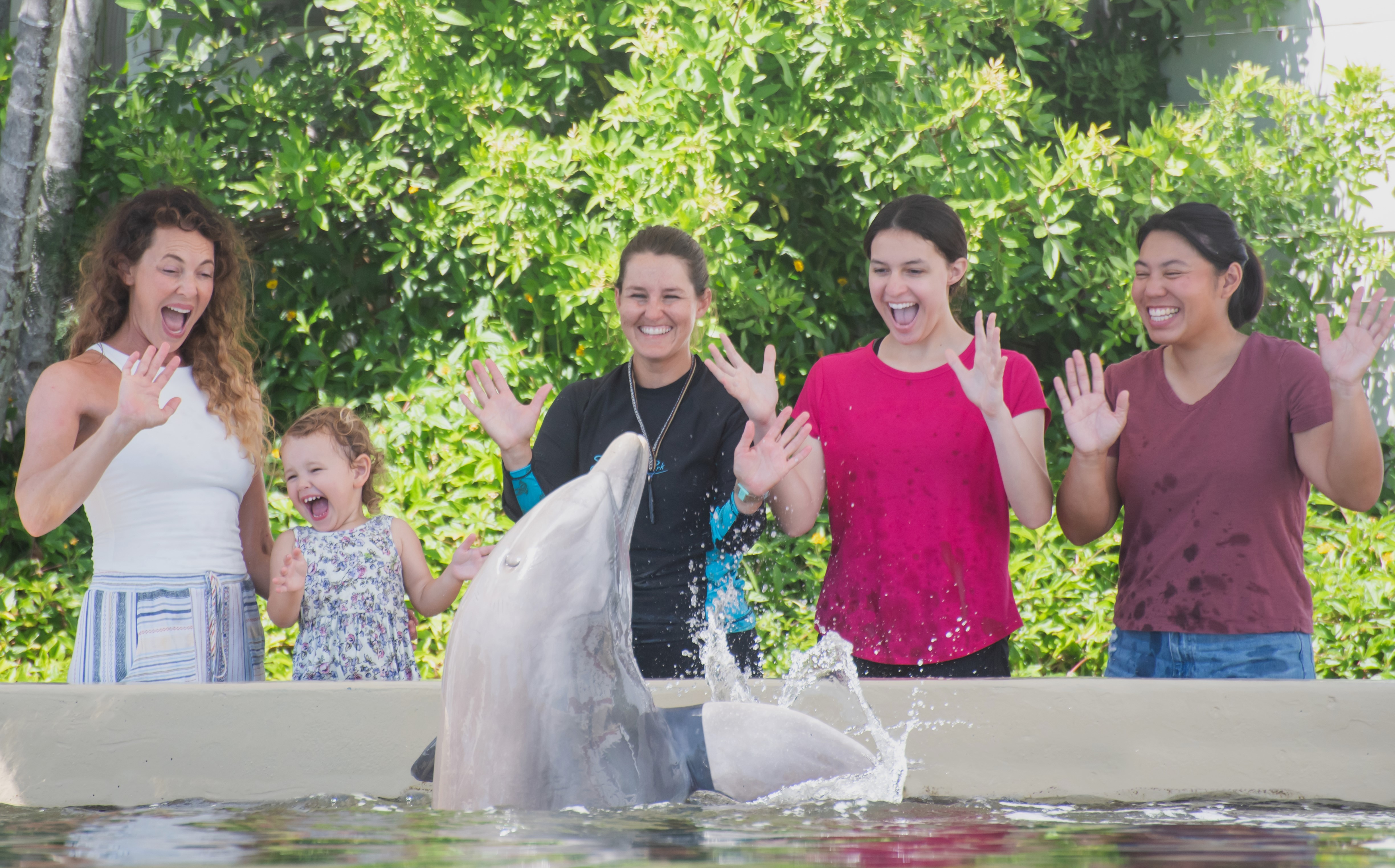 Product Dolphin Aloha At Sea Life Park