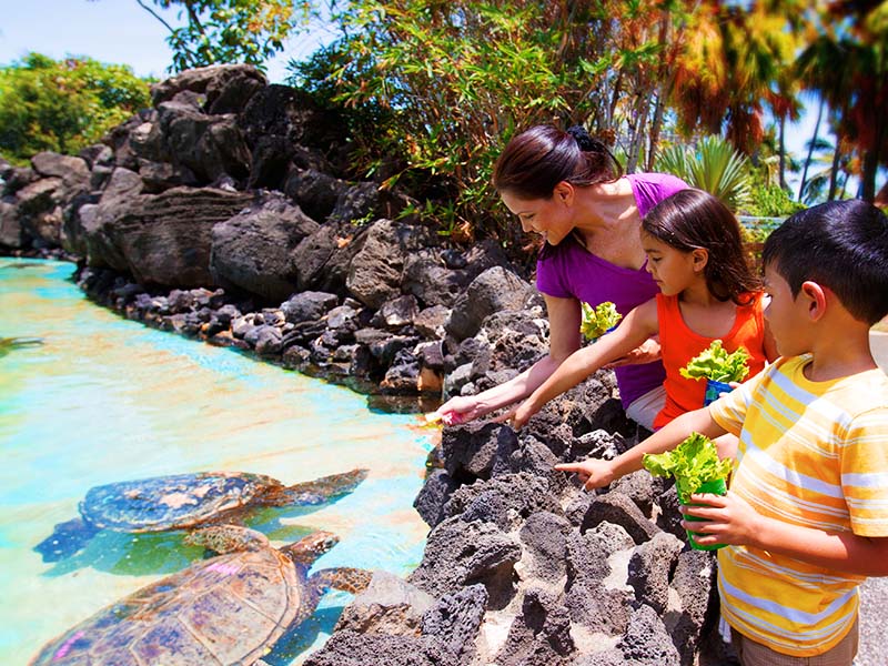 Product Sea Life Park General Admission