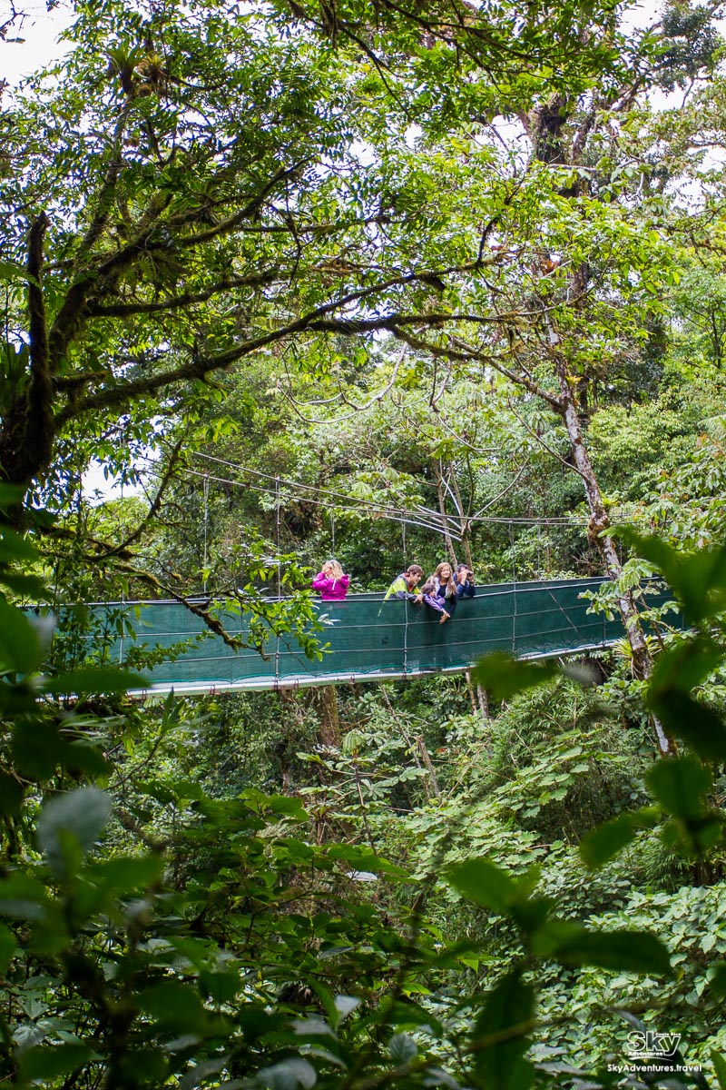 Product Sky Walk, Trek &amp; Tram (Arenal)