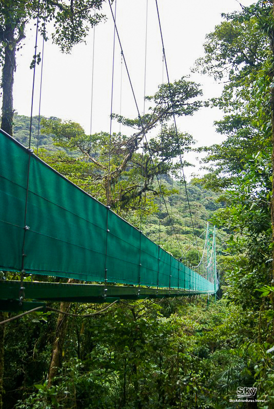 Sky Walk Guided Tour (Monteverde)