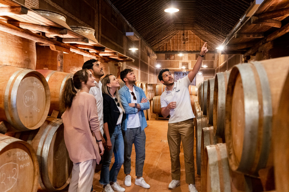 Toledo City Tour &amp; Winery Experience from Madrid PRD77402 image 2