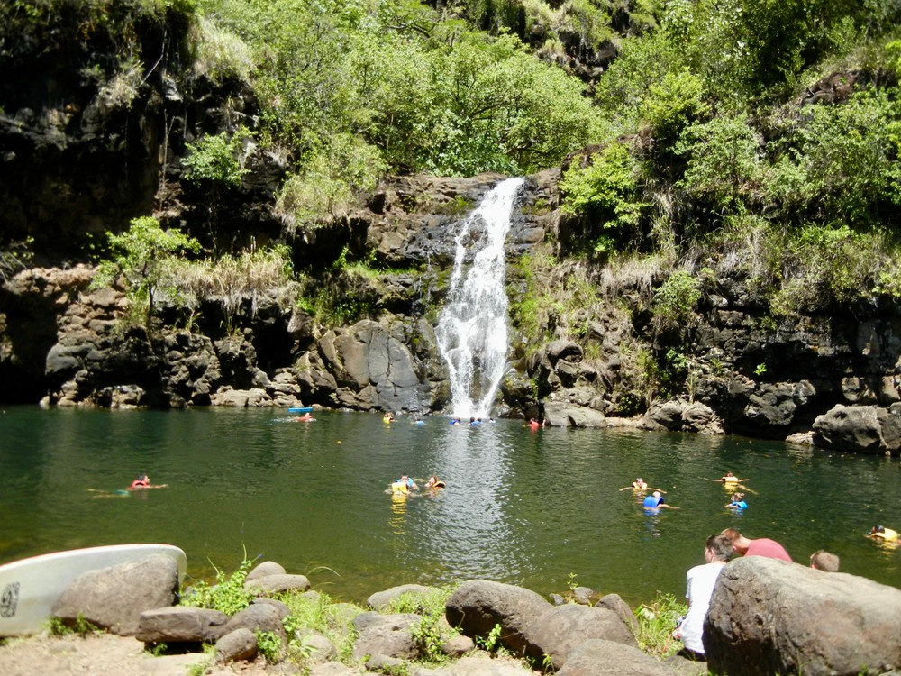 North Shore Tour Experience