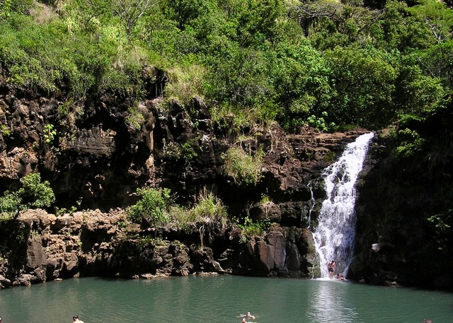 1/2 Circle Island + North Shore Experience