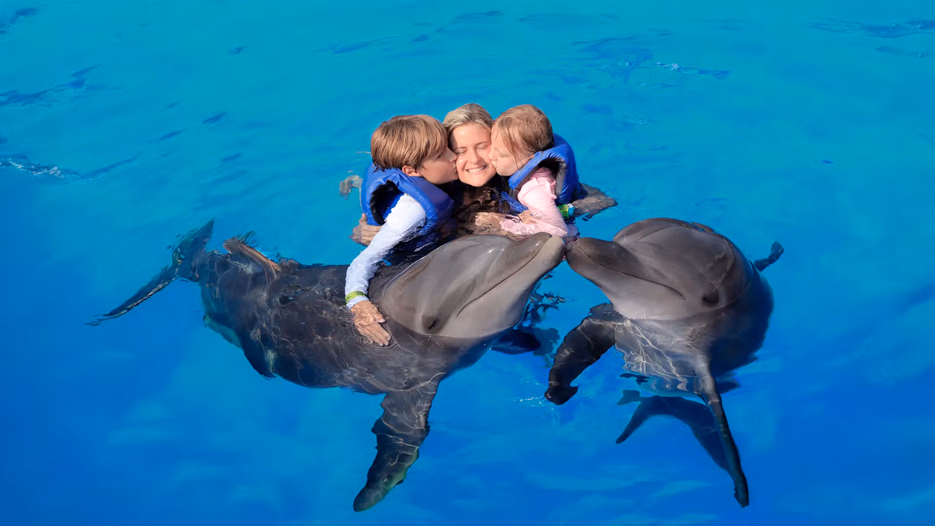 Product Dolphin Encounter