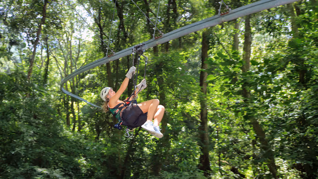 Product Extreme Adventure Ziplines, ATV &amp; Bridge