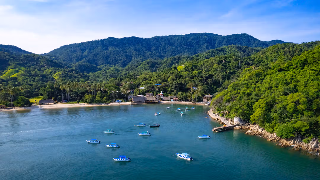 Product Sea Safari &amp; Beach BBQ