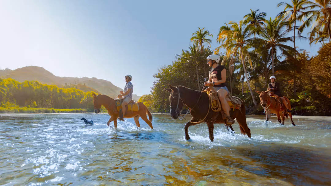 Product Sea Safari &amp; Beach BBQ