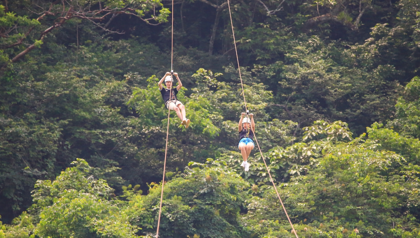 Zipline - Canopy River