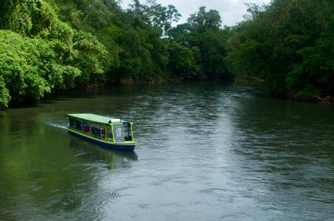 Product Authentic Rainforest Experience W/ Aerial Tram (San Jose)