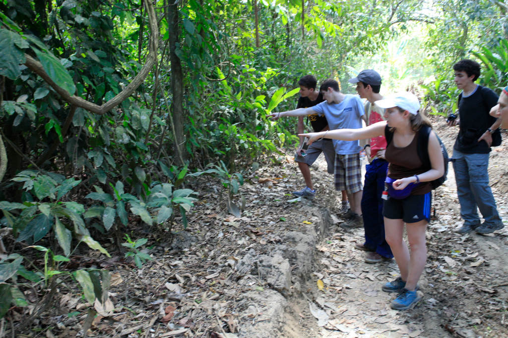 Product Carara National Park (Manuel Antonio)