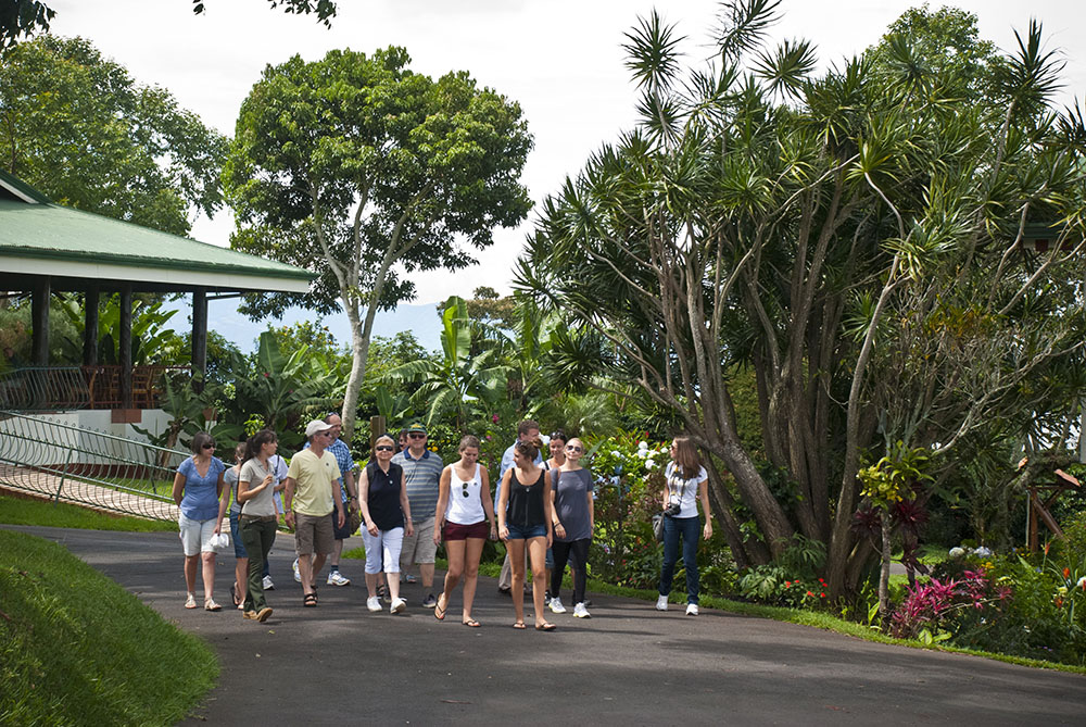 Product Poas Volcano/Doka Estate & Oxcart Factory (San Jose)