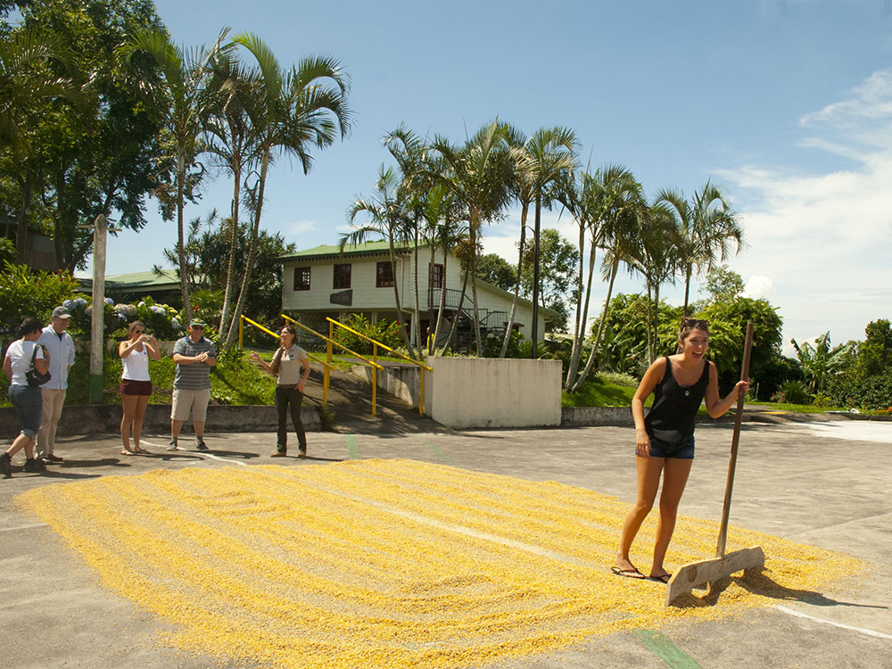 Product Doka &amp; Poas Volcano Half Day (San Jose)